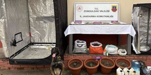 Evleri uyuşturucu serasına çevirmişler