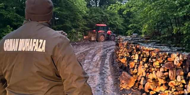 Zonguldak'ta ormanlara 7/24 sıkı denetim