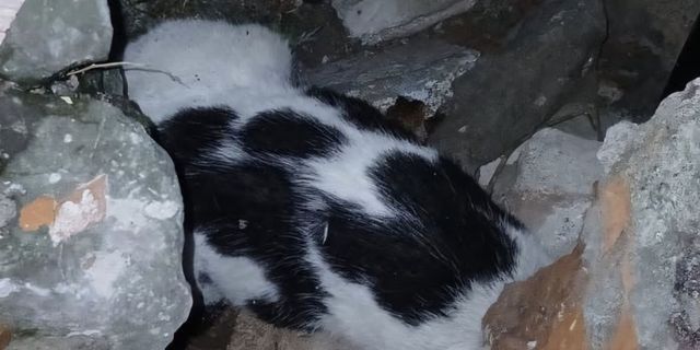 Enkazdan 6 gün sonra sağ çıktı