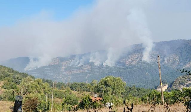 Orman yangınını söndürme çalışmaları 22 saattir sürüyor