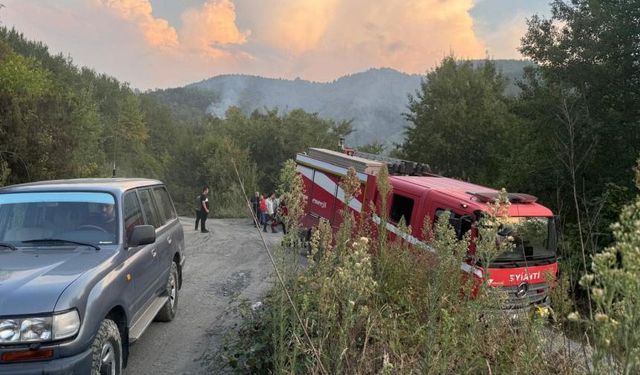 Ormanlık alanda çıkan yangın paniğe neden oldu