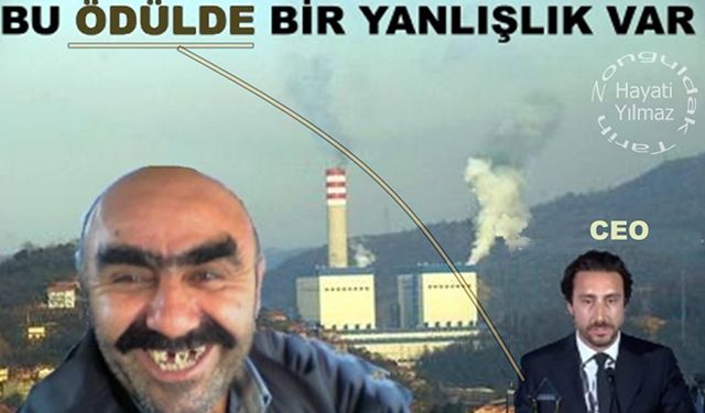 Bu ödüldü yanlışlık var: Zehir saçan termik santrale ödülü ABD veriyor!