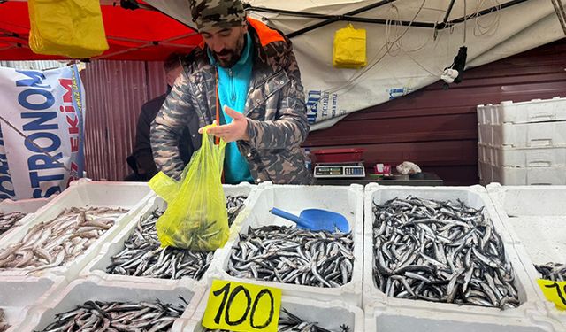 Zonguldak'ta hamsi 100 liradan alıcı buldu
