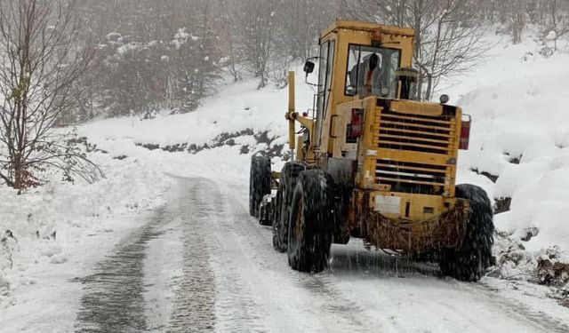 Zonguldak'ta köy ve karayollarında son durum