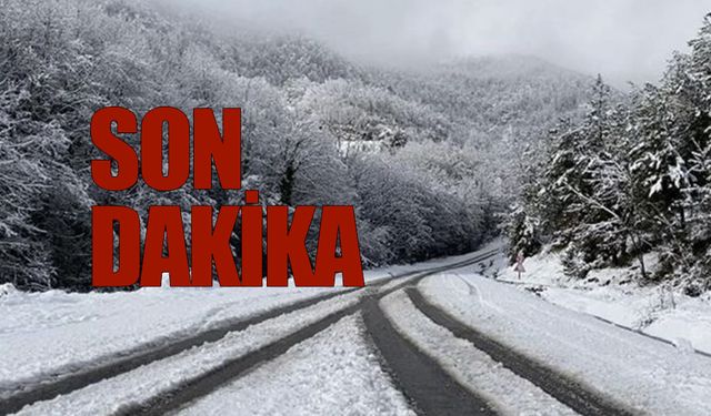 Ulaşıma kapanan 185 köy yolu 95’e düştü