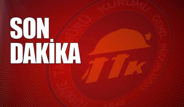 TTK'da 'Nadir Toprak Elementi' mi araştırıyorlıyor?