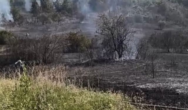 Yangın kontrol altına alındı: 6 Dönümlük alan zarar gördü