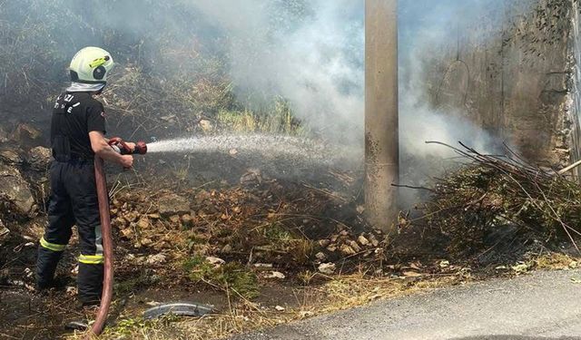 Kozlu'da orman yangını
