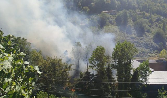 Çaydamar'da orman yangını