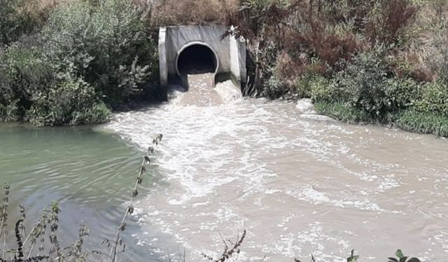 Sadece Gerede Çayı’nın değil, Tüm Filyos Havzası’nın ölüm fermanı