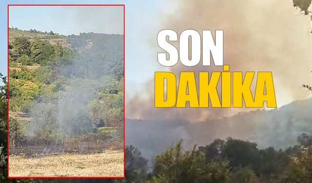 Devrek'te orman yangını büyüyor: Diğer köylere sıçradı!