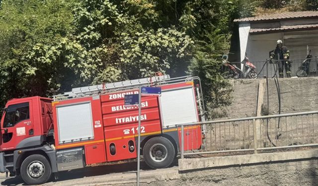 Zonguldak’ta ormanlık alanda çıkan yangın söndürüldü