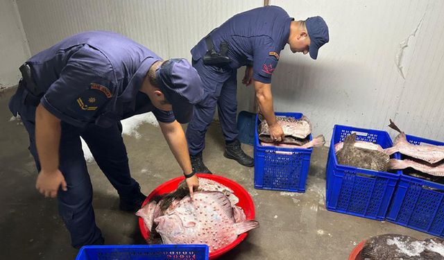Zonguldak'ta kaçak kalkan avcılığına geçit yok