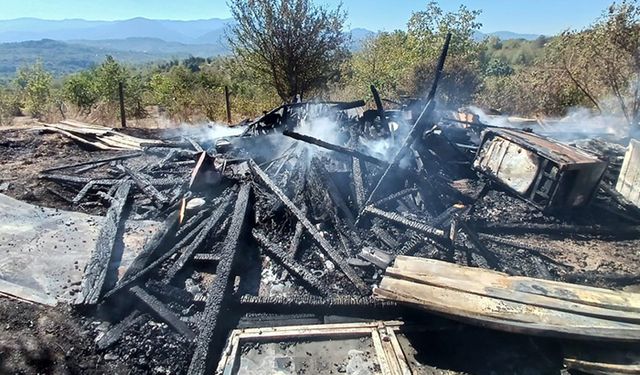 Alaplı'da korkutan yangın