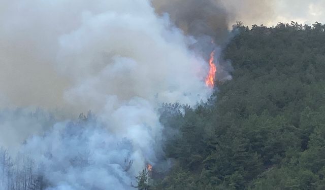 Orman yangınına 51 araç, 3 helikopter müdahale ediyor