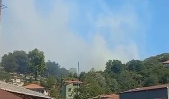Çatalağzı'nda orman yangını, ekipler müdahale ediyor