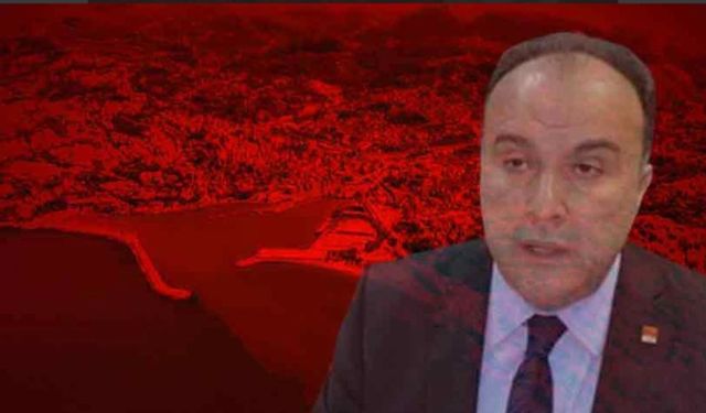 Korkak... Kaypak... Yalaka... Dalkavuk... Fırıldak...