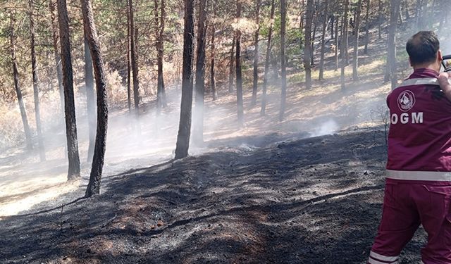 Zonguldak Orman Bölge Müdürlüğü'den orman yangınlarına ilişkin açıklama