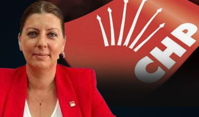Zorbalıkla yapılan delege seçimleri parti tüzüğüne aykırı