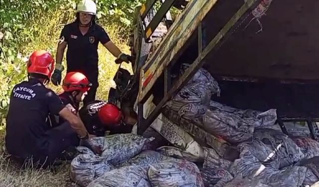 Yardım kömürü taşıyan kamyon şarampole devrildi: 2 ölü, 1 yaralı