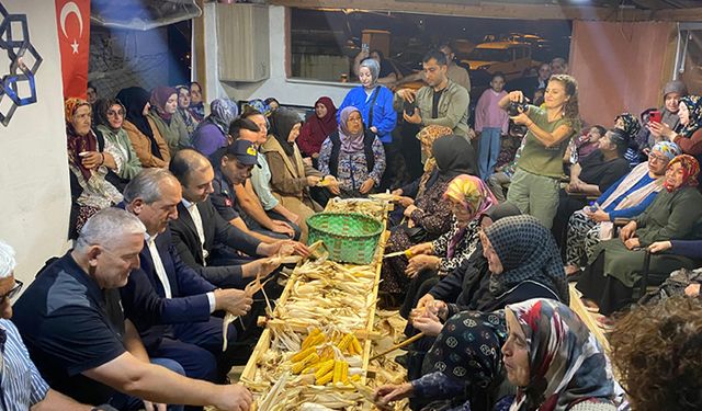 2 asırlık gelenek; 3 saat boyunca topluca mısır soydular
