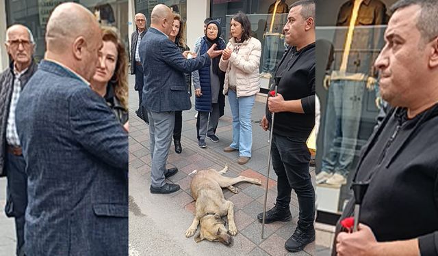 Kent Merkezinde Sokak Köpeği Krizi: Vatandaşlarla ekipler karşı karşıya
