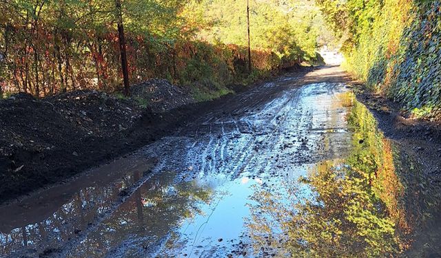 Bu nasıl yol, araç bile gitmiyor