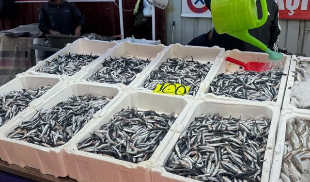 Balıkçı esnafı ilgiden memnun