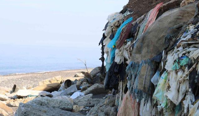 'Kozlu sahilindeki çevre felaketine 'DUR' diyelim'