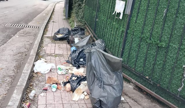 Muhtar Cevher'den ÇÖP isyanı