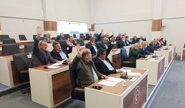 Mecliste BEDAŞ'a tepki