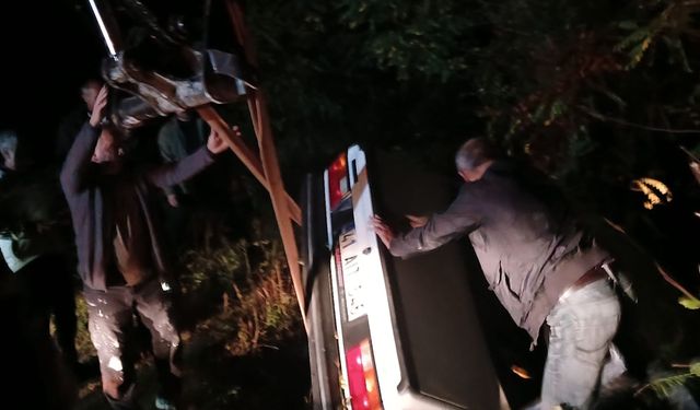 Fren yerine gaza basınca şarampole uçtu…