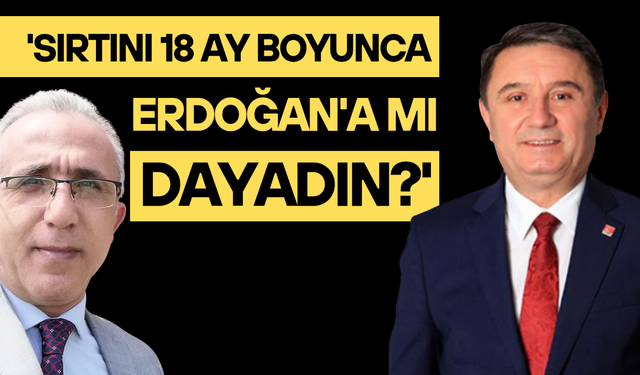 'Sırtını 18 ay boyunca Erdoğan'a mı dayadın?'