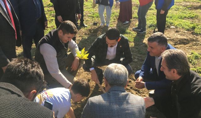 Devrek'te fidanlar toprakla buluştu