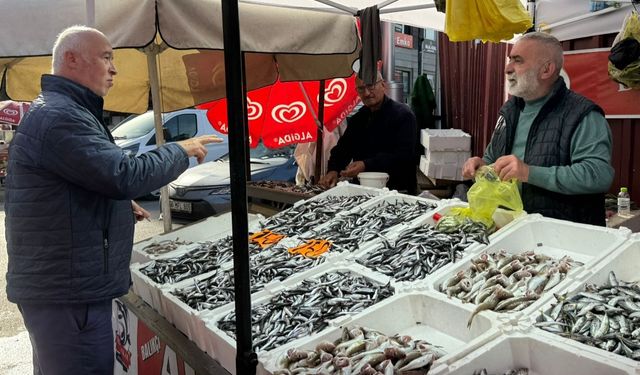 Zonguldak’ta hamsi tezgahlarda 150 lira
