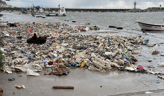 Denize atılan çöpler kıyıya vurdu
