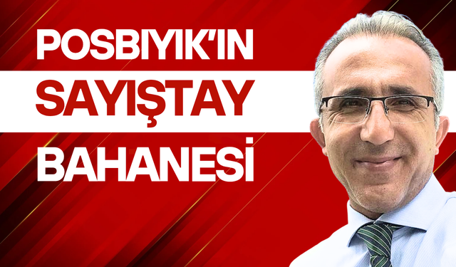 Posbıyık'ın Sayıştay bahanesi
