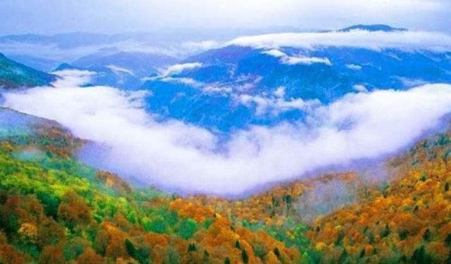 Yenice Ormanları’nın ekoturizm potansiyeli masaya yatırıldı