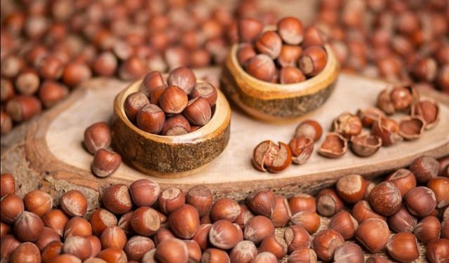 Fındık tüccarından çarpıcı açıklamalar; 'Fındığın geleceği tehlikede'