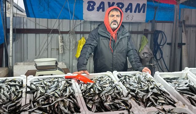 İstavrit tezgahlarda 150 liradan alıcı buldu