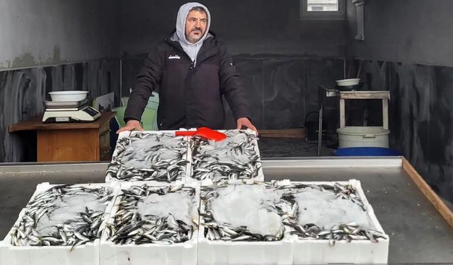 Zonguldak’ta balıkçılar yeni yerlerine taşındı.