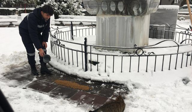 Haycanlar unutulmadı