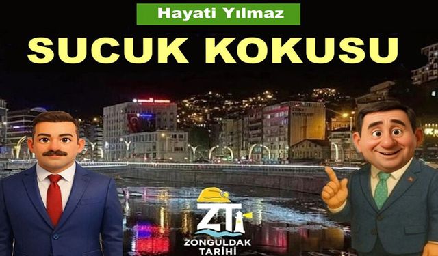 Sucuk kokusu güzel de, Zonguldak'ın en büyük sorunu b.k kokusu!