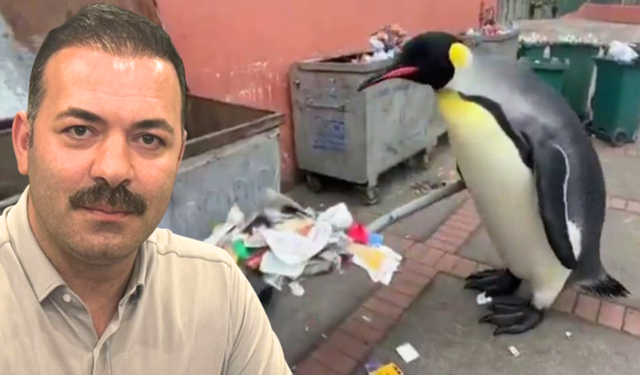 Siyasette penguen polemiği; 'Zonguldak gösteri değil, hizmet bekliyor'