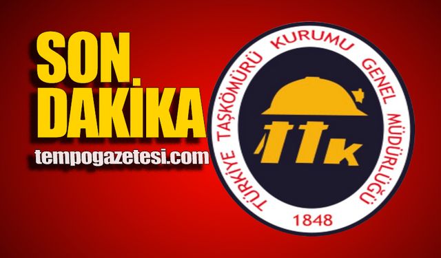 Üretim durdu: Armutçuk davası 27 Şubat'a ertelendi