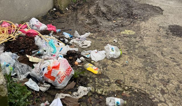 Zonguldak'ta çöp sorunu çileden çıkardı