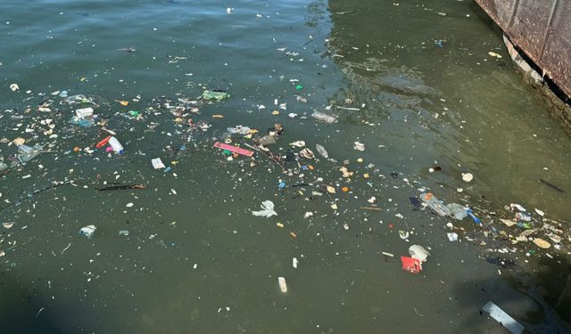 Plastik atıklar sahile vurdu