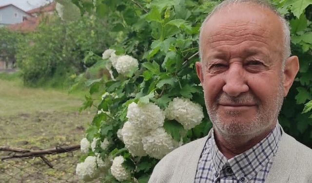 Aliş hayatını kaybetti