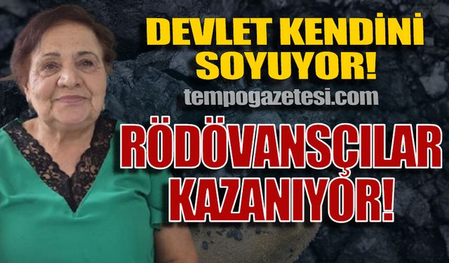 Devleti kimse soymuyor, Devlet kendini soyuyor: Rödövansçılar kazanıyor!