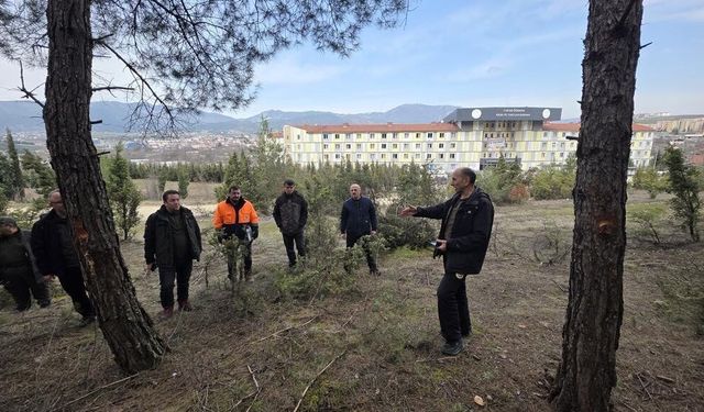 Zonguldak Orman Bölge Müdürlüğü’nden 'Güvenlik Kuşağı' operasyonu